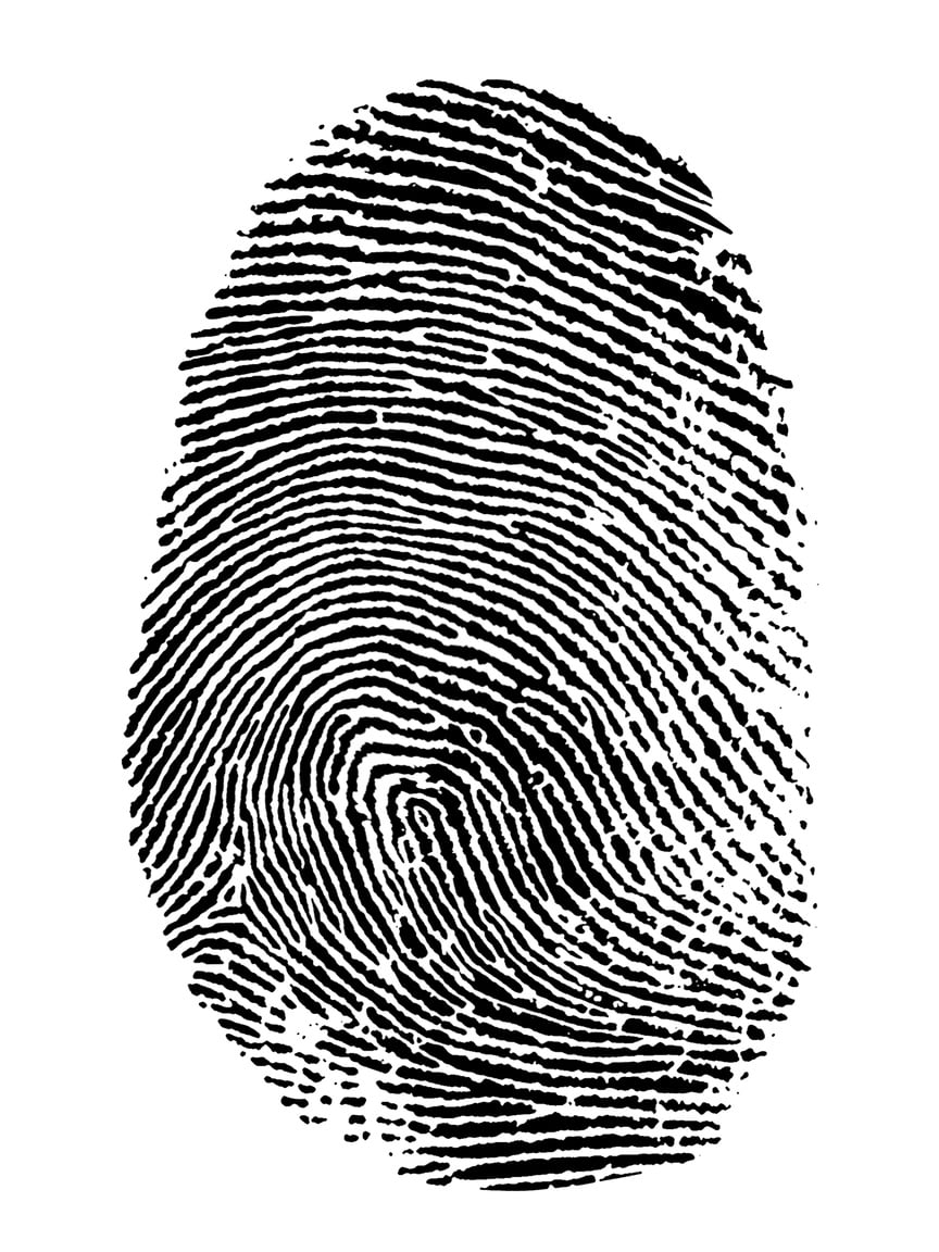 fingerprint